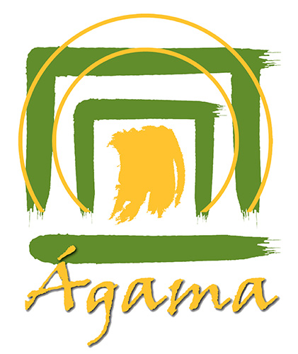 logoColor_agama